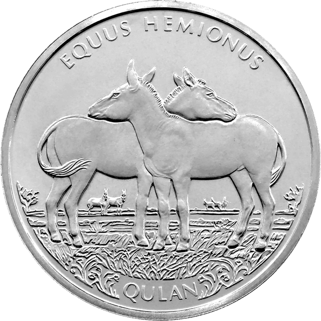front image