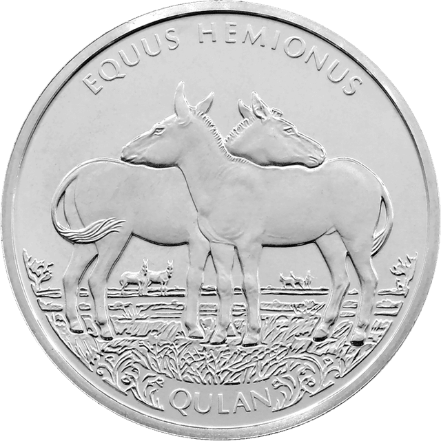 front image
