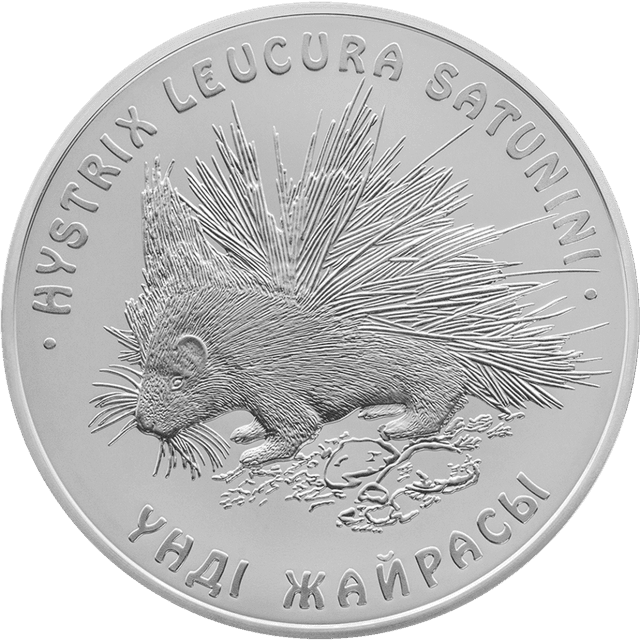 front image