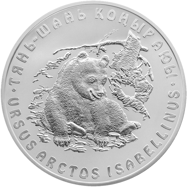 front image