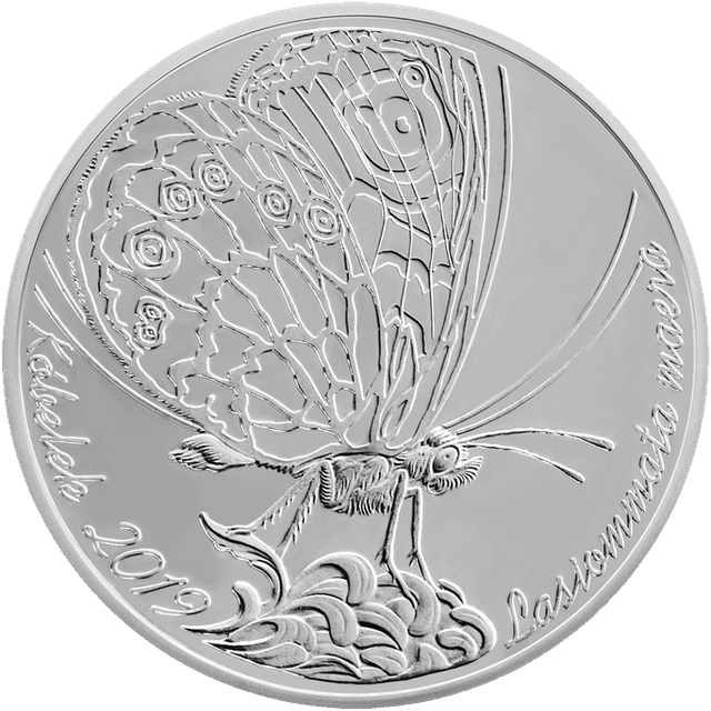front image