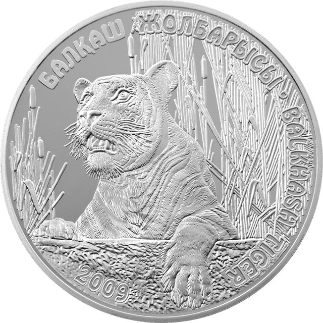 front image