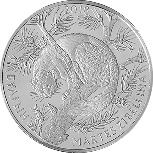 front image