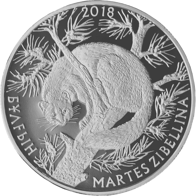 front image