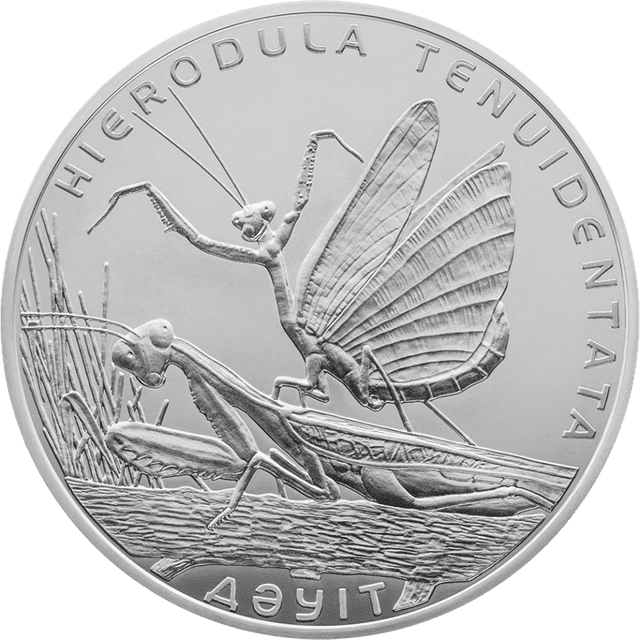 front image