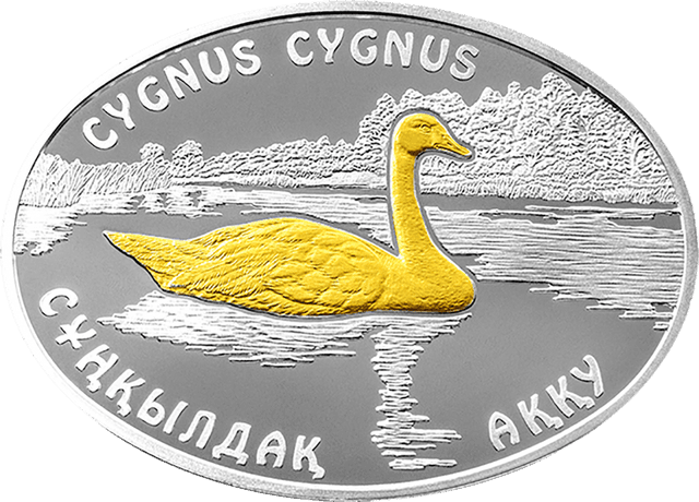 front image