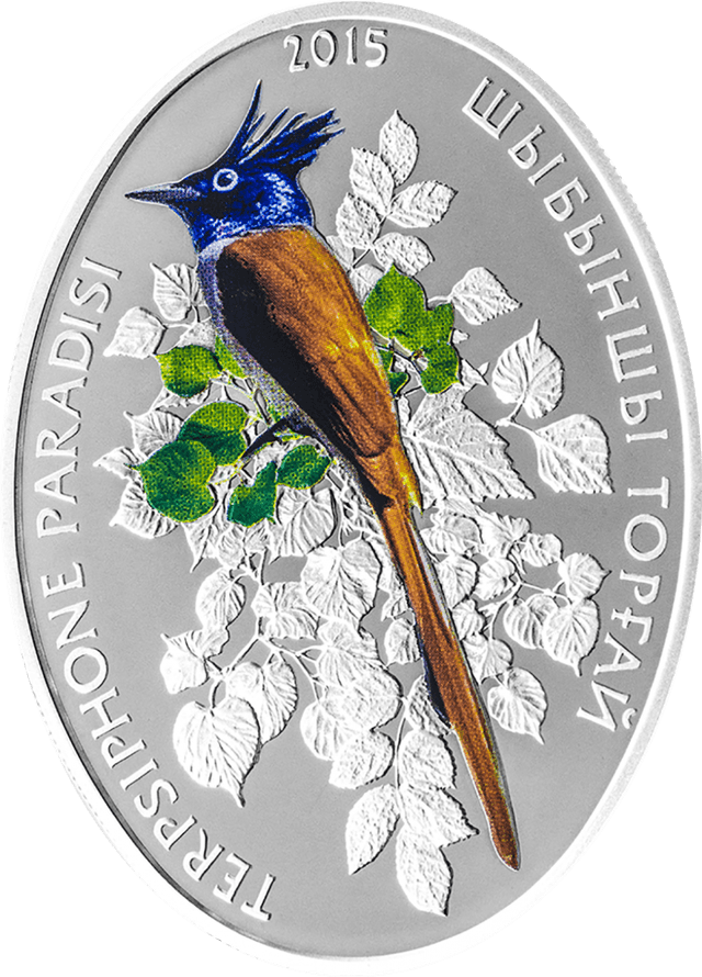front image