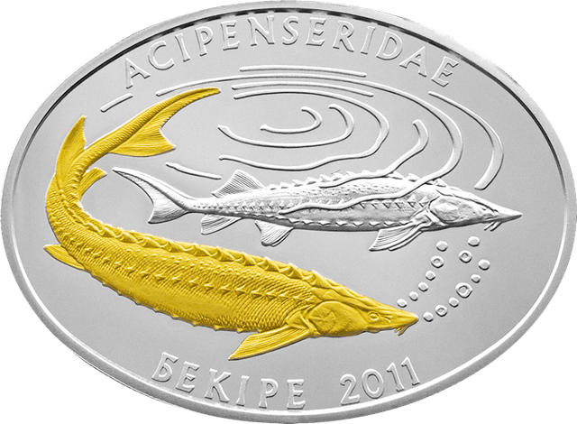front image