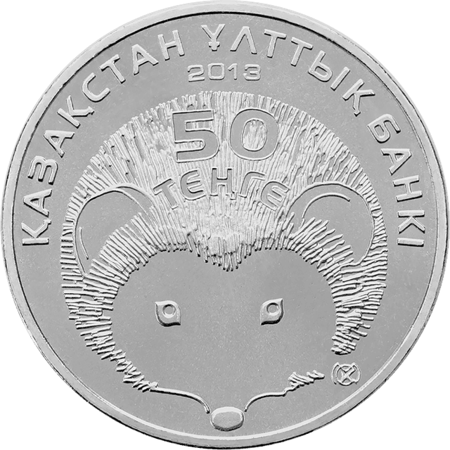 front image