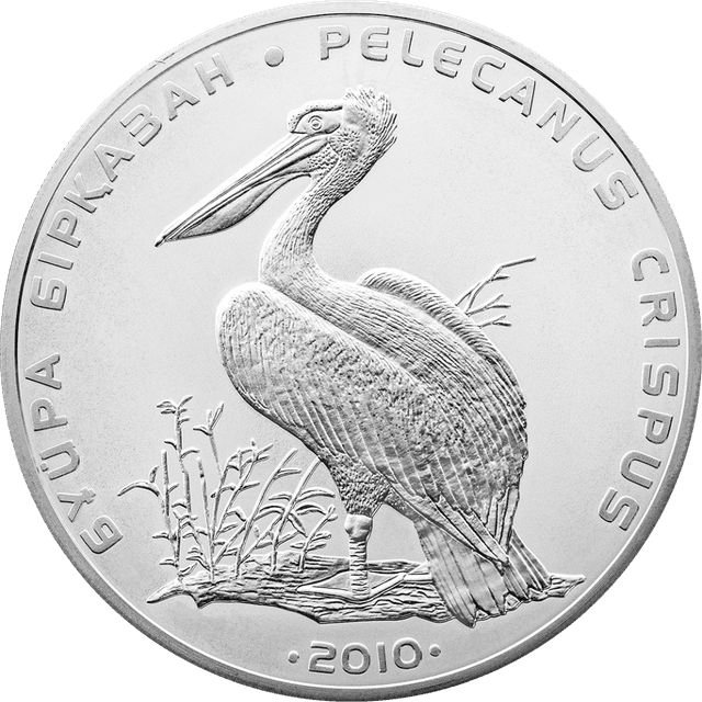 front image