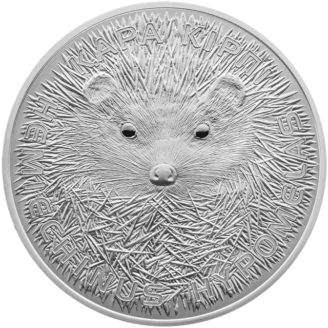 front image
