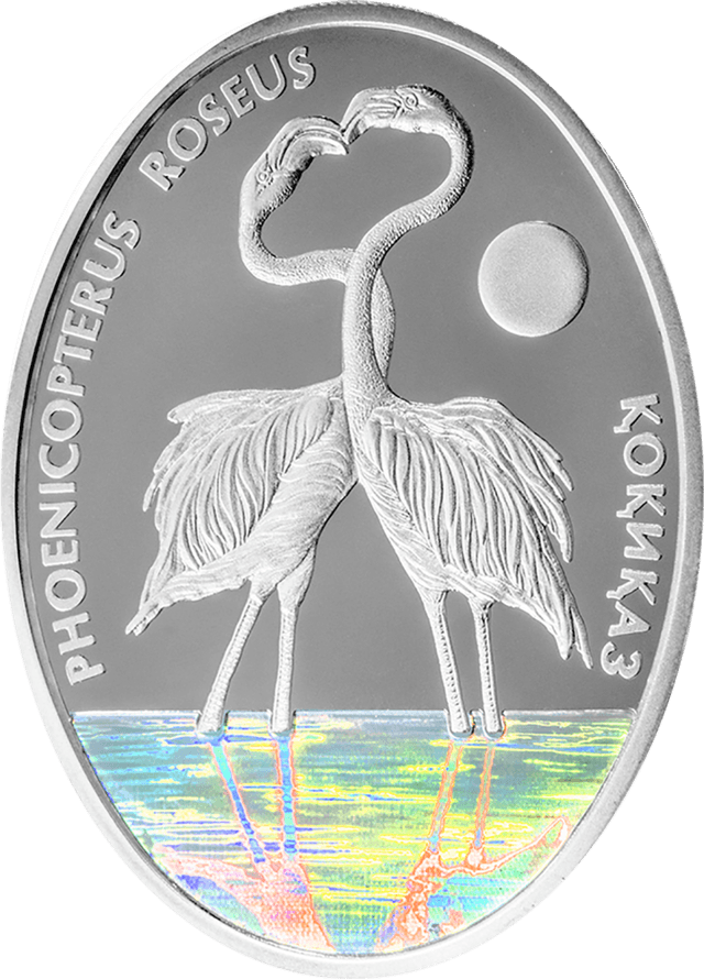 front image