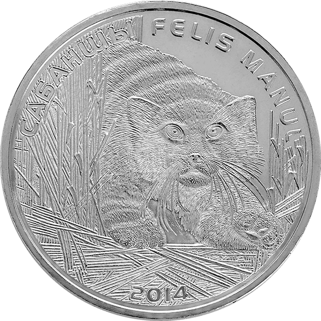 front image