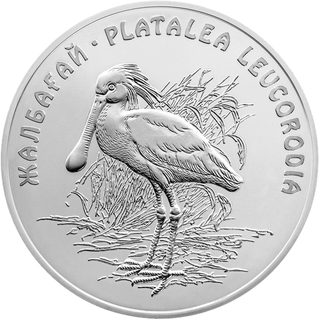 front image