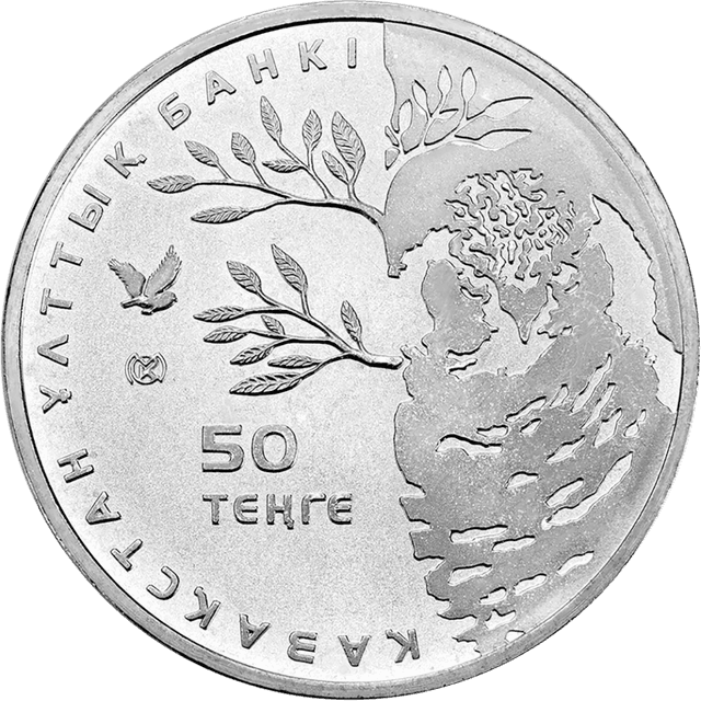 front image