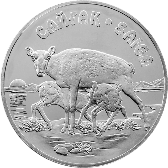front image