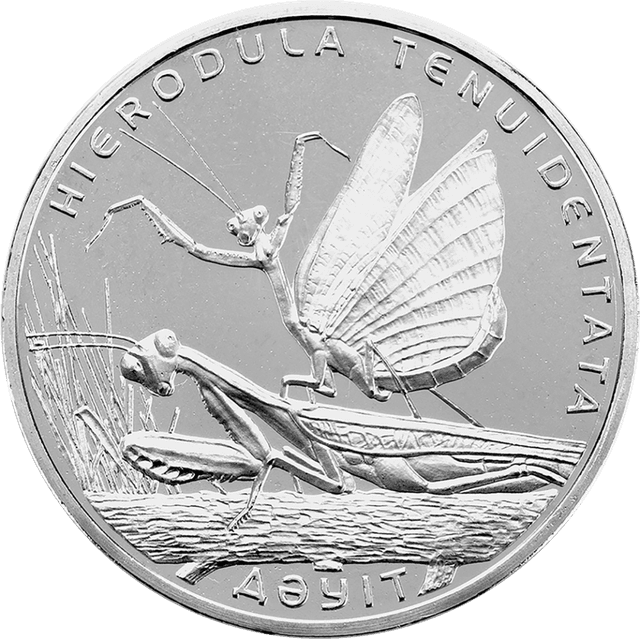 front image