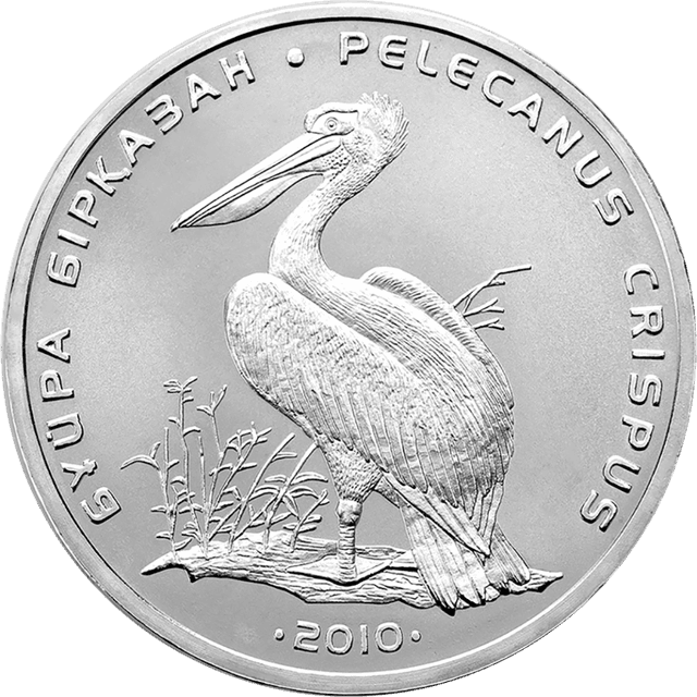 front image