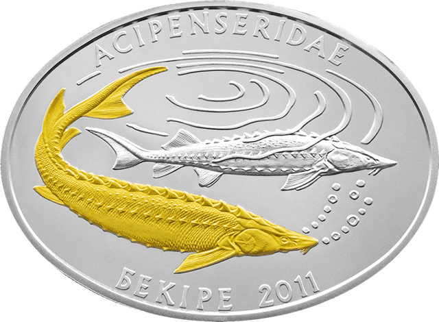 front image