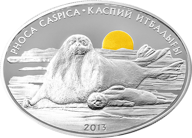 front image