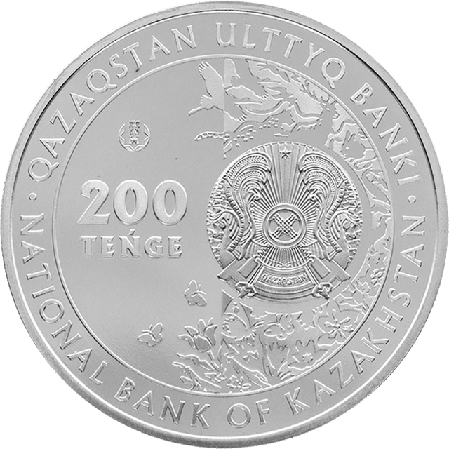 front image