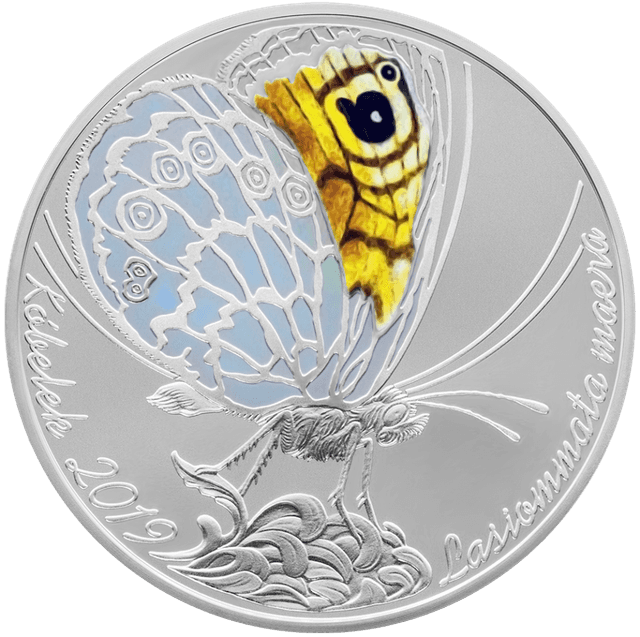 front image