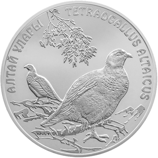 front image