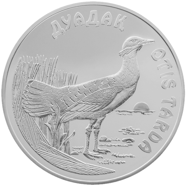 front image