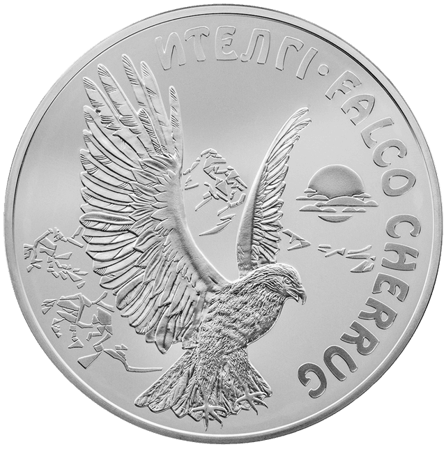 front image