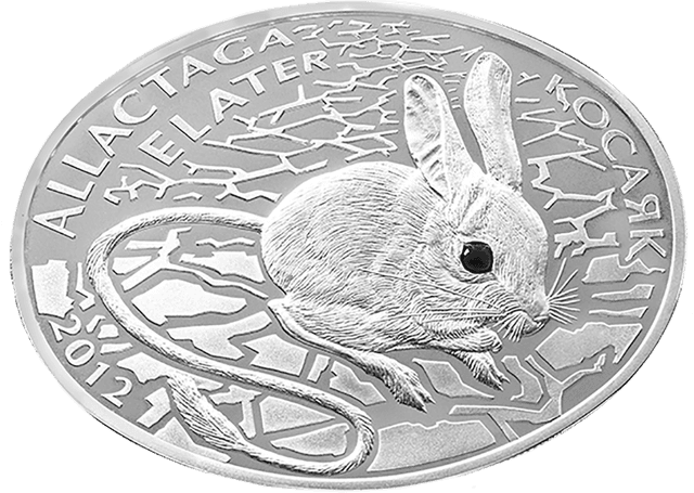 front image