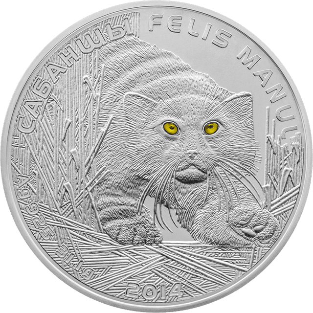 front image