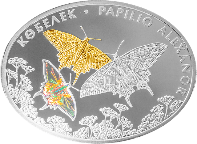 front image