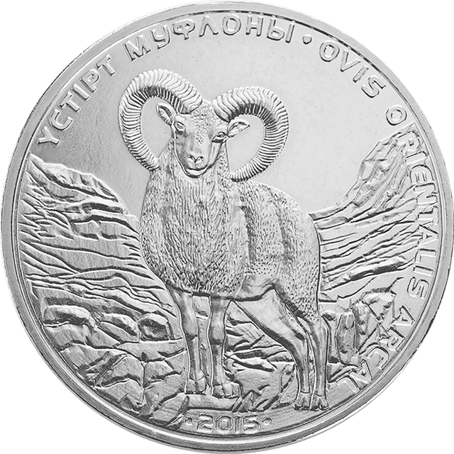 front image
