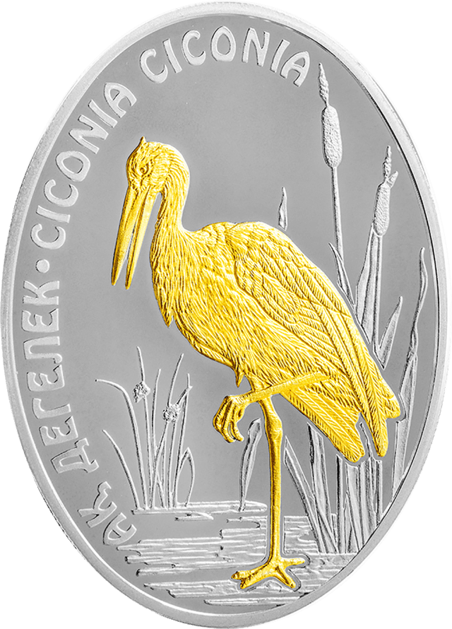 front image