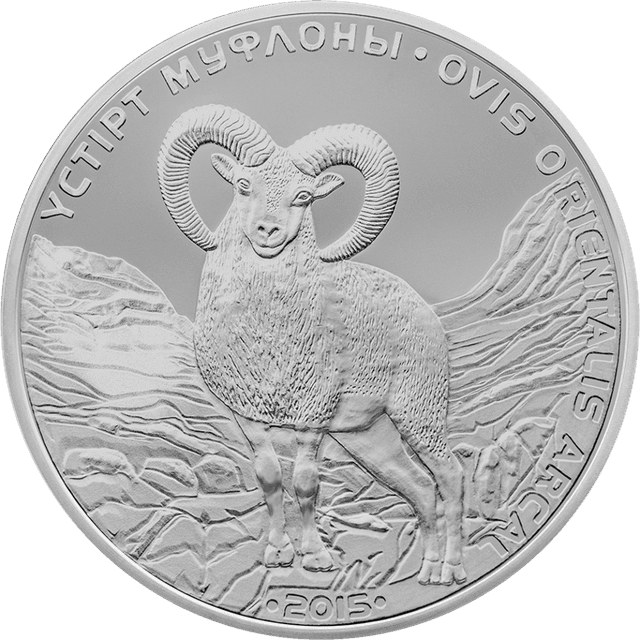 front image