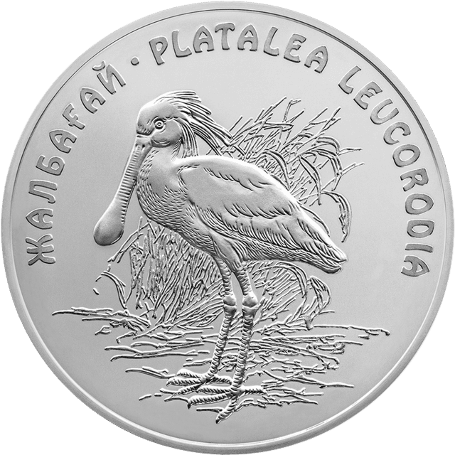 front image