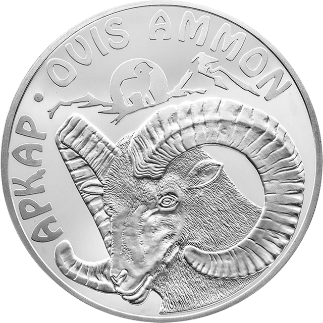 front image