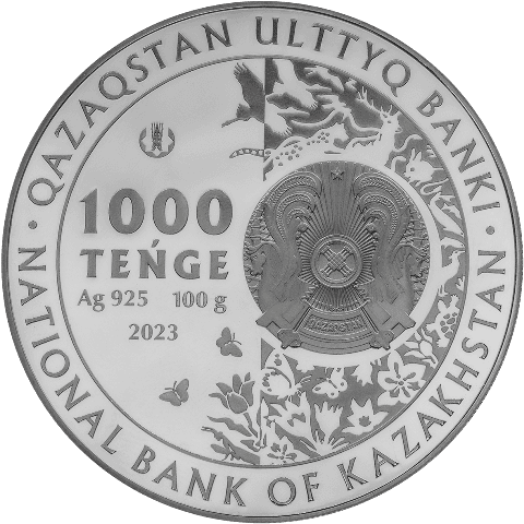 front image